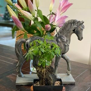 Meet your Posher, Jean